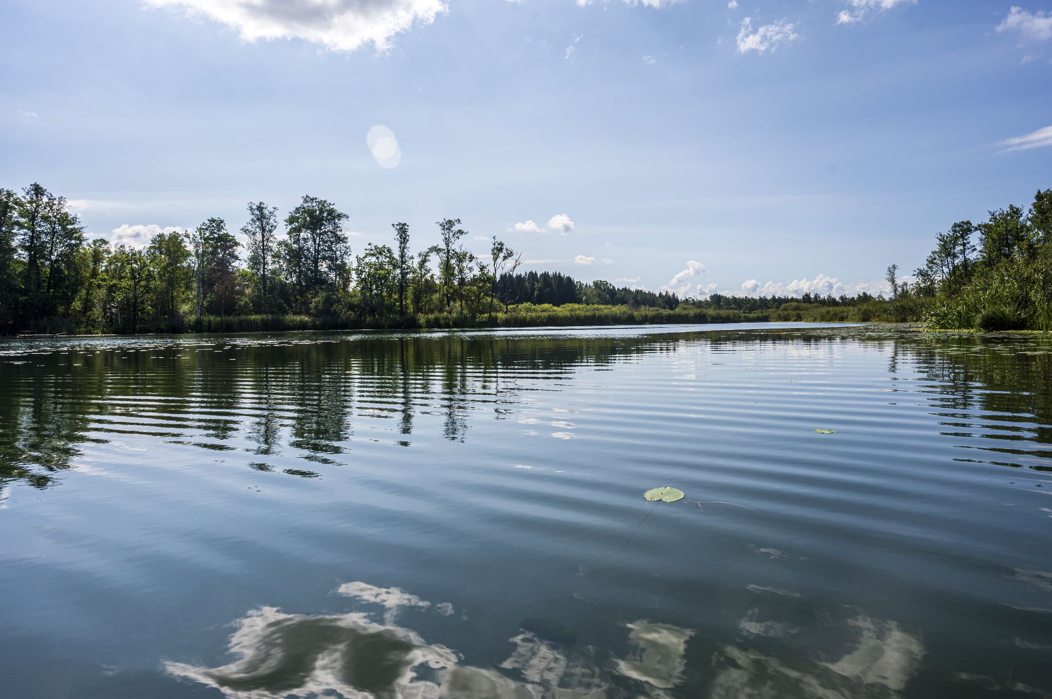 Kajaktour Leutstettner Moos 21.08.2022